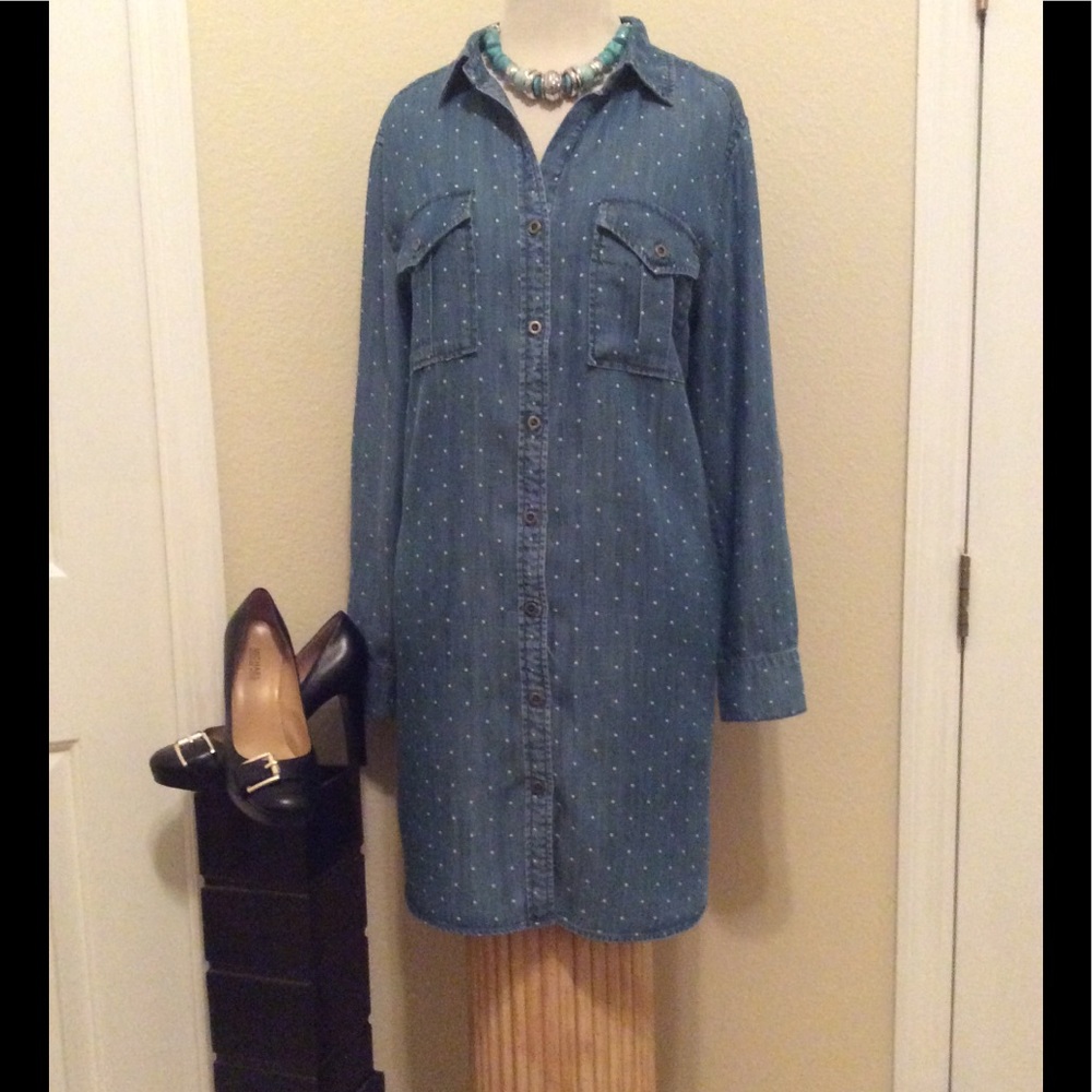 Philosophy Jean Dress